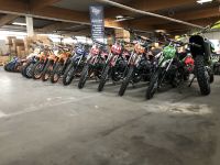 NEU!!! Cross 125ccm Pitbike Enduro Dirtbike 17/14 & 14/12" NEU!!! Nordrhein-Westfalen - Greven Vorschau