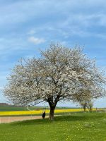 Kostenloser Urlaub auf dem Hof Niedersachsen - Twistringen Vorschau