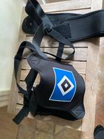HSV Ball schiess trainer Niedersachsen - Hanstedt Vorschau