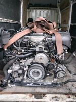 Motor Audi Q7 Q8 A7 A6 3.0 TDI DPX DPXA 286PS NEU  komplett Sachsen - Torgau Vorschau