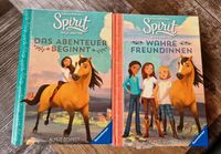 Bücher "Spirit - wild und frei" Baden-Württemberg - Oberstenfeld Vorschau