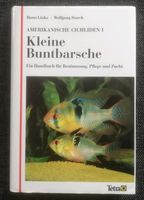 Buch :  Kleine Buntbarsche Saarland - Ottweiler Vorschau