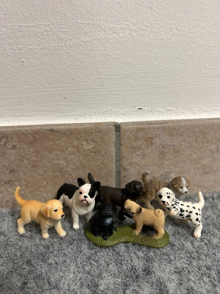 Schleich Hundeset in Rodgau