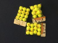 Tennisballe Play & Stay Wilson Niedersachsen - Meppen Vorschau