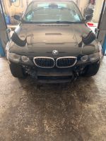 Front komplett BMW E46 Facelift Xenon Brandenburg - Nuthe-Urstromtal Vorschau