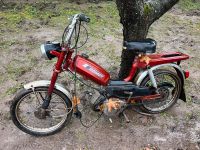 Romet Kadet Mini Moped Mofa keine Simson Roller Sachsen-Anhalt - Osterweddingen Vorschau