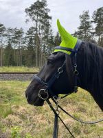 Zilco Wanderreittrense blau schwarz Trense Wanderreiten Zilco Niedersachsen - Grasberg Vorschau