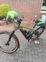 E Mountainbike Cube Stereo Hybrid 120TM Niedersachsen - Weener Vorschau