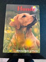 Welpenbücher,Hundebücher,Erziehung Nordrhein-Westfalen - Havixbeck Vorschau
