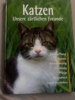 Katzen Erziehung‘s Info Buch Köln - Mülheim Vorschau