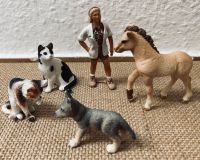 Schleich Tiere Tierärztin Fohlen Pony Husky Welpe Katze Spielzeug Niedersachsen - Burgdorf Vorschau