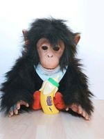 Schimpanse von Hasbro Baden-Württemberg - Ammerbuch Vorschau