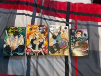 Teilauflösung Manga-Sammlung Bayern - Kemnath Vorschau