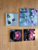 Orchideen Bilder Bayern - Langenzenn Vorschau