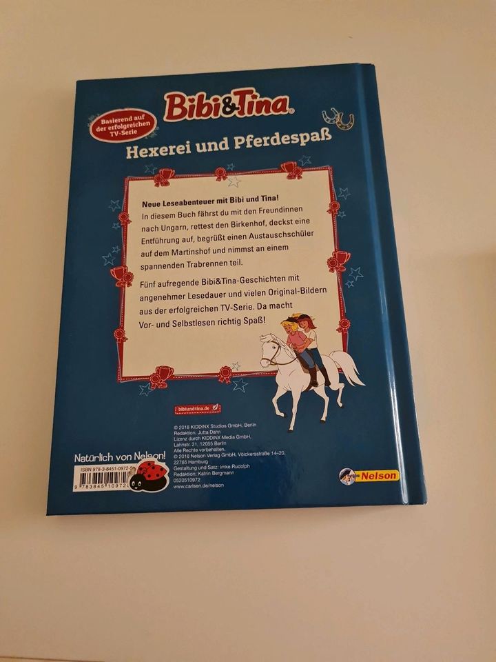 Bibi und Tina Buch Hexerei und Pferdespaß in Warendorf