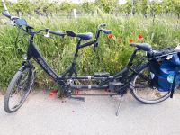 Tandem Pedalpower teilbar E-Bike schwarz, wenig genutzt Brandenburg - Potsdam Vorschau