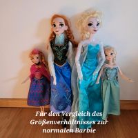Die Eiskönigin ca. 40 cm große Elsa + Anna  Barbie & Buch Brandenburg - Borkwalde Vorschau