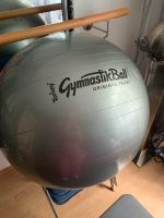 Tonkey Pezzi Gymnastikball silber 65 cm Baden-Württemberg - Heilbronn Vorschau