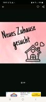 Suche dringend eine Wohnung in Neuwied Koblenz - Urbar Vorschau