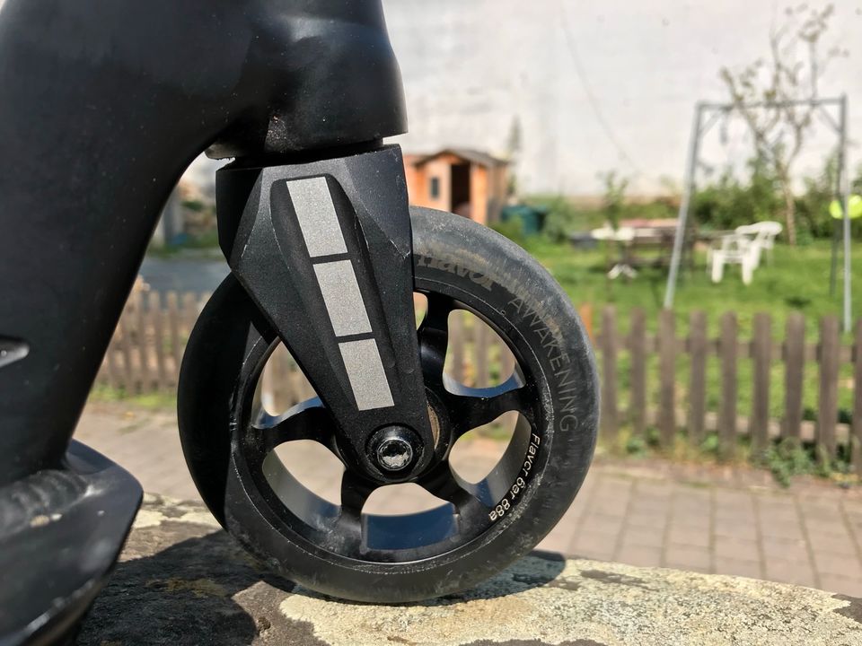 Stunt Scooter (Flavor, Blunt, Odi) custom in Wiesloch