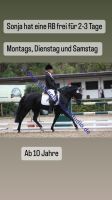 Reitbeteiligungen an Pferden und Ponys zu vergeben Hessen - Wiesbaden Vorschau