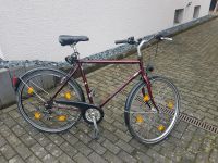 Fahrrad Pegasus Biobike Rheinland-Pfalz - Pronsfeld Vorschau