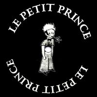 ❌LE PETIT PRINCE Paket❌1995 Techno Acid Trance Classics❌9x12“❌ Bayern - Graben (Lechfeld) Vorschau