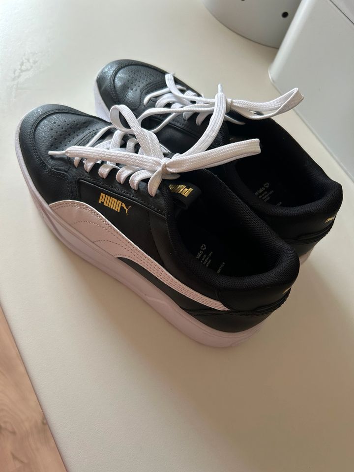 Puma Sneaker in Herne