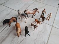 Schleich Pferde Sammlung Hessen - Eltville Vorschau