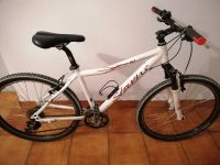 MTB Stevens  Nema Rh. 43 cm weiß sehr guter Zustand Bayern - Grassau Vorschau