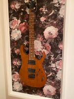 Ibanez rg421 mol Nordrhein-Westfalen - Nordkirchen Vorschau