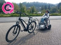 Elina´s Fahrwerk Liberty 65 Rollstuhl-Fahrrad Fahrrad-Anhänger Rheinland-Pfalz - Kirchen (Sieg) Vorschau