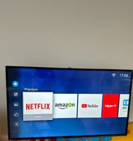 Hisense Ultra HD TV Fernseher 49 Zoll Nürnberg (Mittelfr) - Südoststadt Vorschau