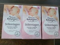 Stilleinlagen Rossmann Babydream Sachsen - Bischofswerda Vorschau