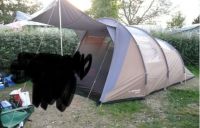 Coleman exponent columbus 4 Personen XXL Zelt Camping Campingzelt Bayern - Rain Lech Vorschau