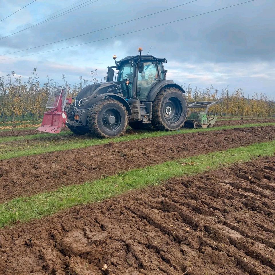 Forstmulcher Forstmulchen Forstfräsen Baufeldräumung Rodung in Mosbach