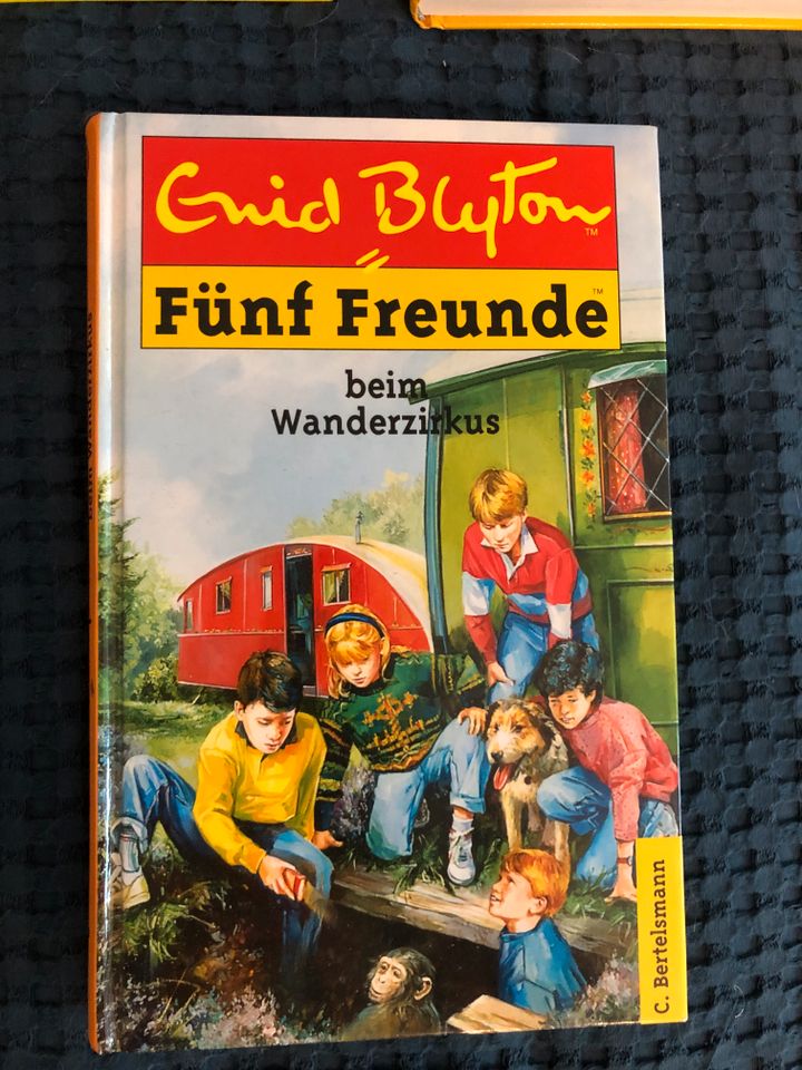 „Die fünf Freunde“ Bücher Hardcover Band 1-5 in Leverkusen