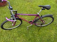 Fahrrad Bottecchia 833R Spider 26 Zoll Hessen - Pohlheim Vorschau