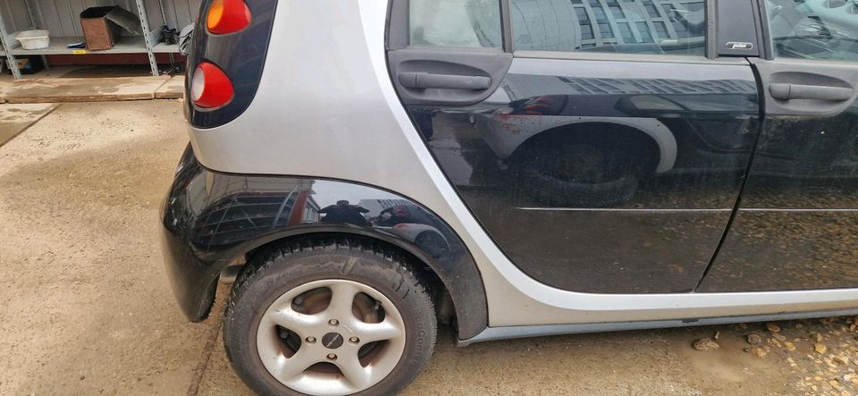 Smart 454 forfour schwarz Teile schlachtfest Kotflügel Stoßstange in Waiblingen