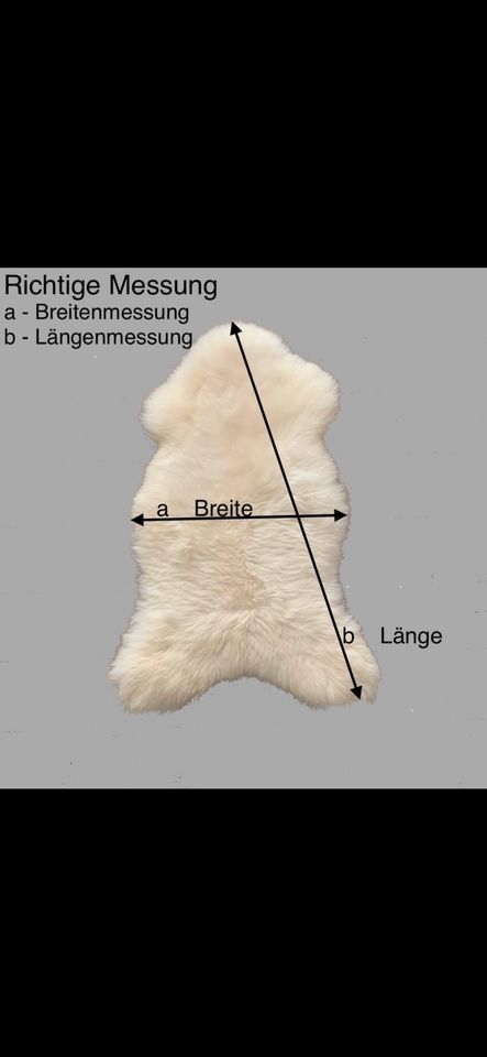 XXLSCHAFFELLE,Neu, Herkunft Island &England/Lammfelle, in Wankendorf