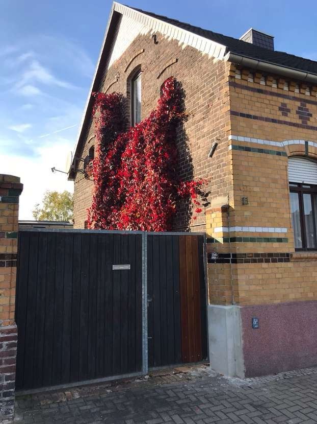 Charmante Doppelhaushälfte mit Nebengebäude und Garten in Wolfen