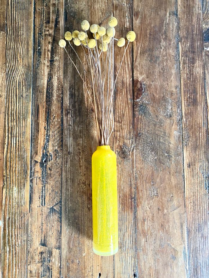 Getrocknete Billy Buttons Blumen Craspedia Pflanze Gelb mit Vase in Stuttgart