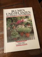 Blumen und Pflanzen auf Balkon und Terrasse Rheinland-Pfalz - Urbach Westerw Vorschau