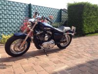 Harley Davidson Sportster 1200 Sachsen-Anhalt - Arnstein Vorschau