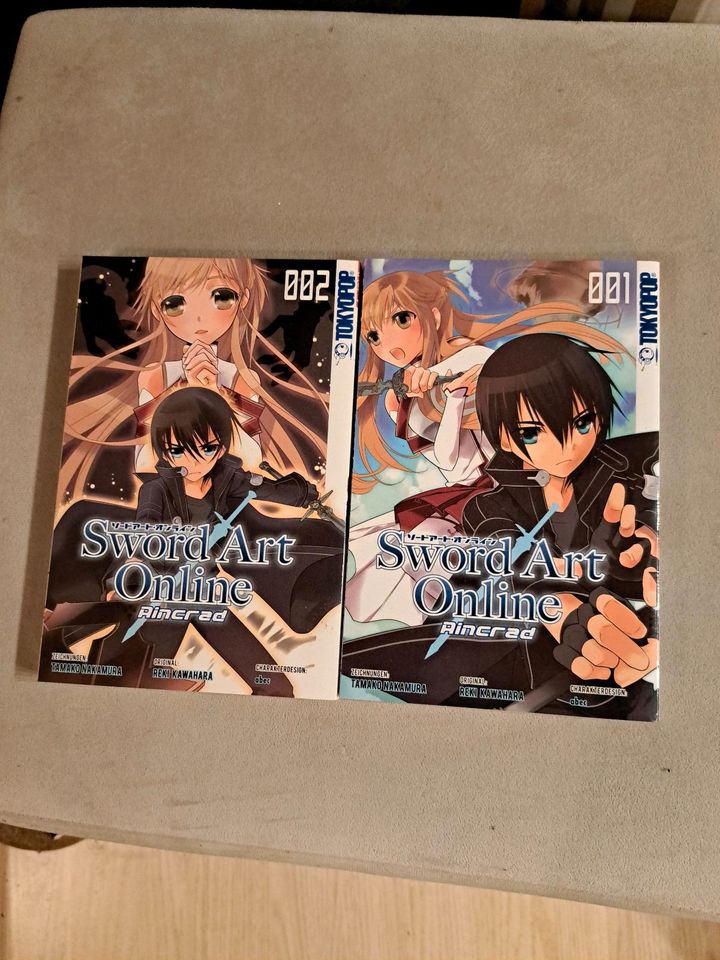 Manga sword Art online Aingrad in Dinslaken