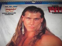 WWF Wrestling Kalender 90er Jahre Thüringen - Silbitz Vorschau