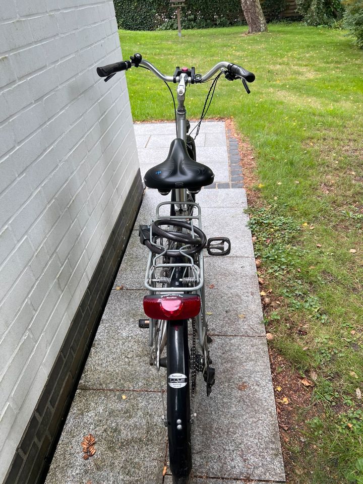 Damenfahrrad Pegasus Silber in Ellerbek