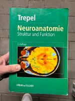 Trepel Neuroanatomie Baden-Württemberg - Offenburg Vorschau