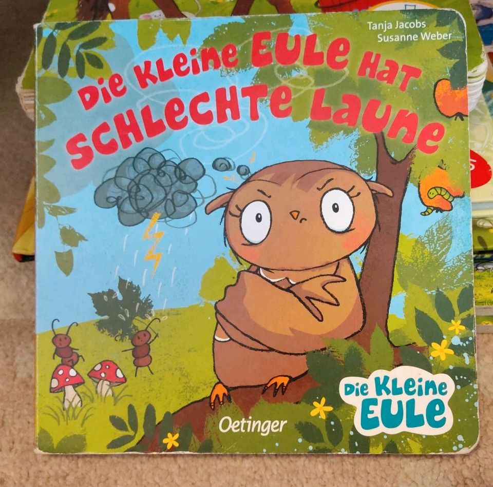 Kinderbuch "Die kleine Eule hat schlechte Laune" in Delbrück