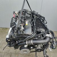 Motor BMW 540i 440i 340i X5 X6 326PS 340PS B58B30A Sachsen - Torgau Vorschau